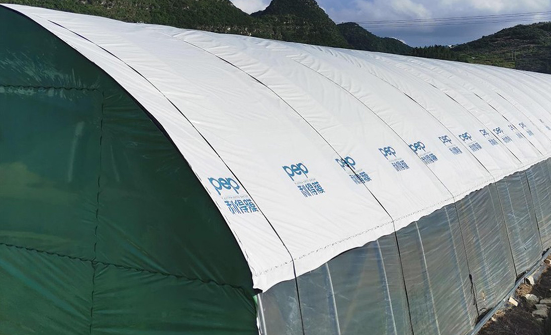 1774658373180117.jpg 1096.jpg